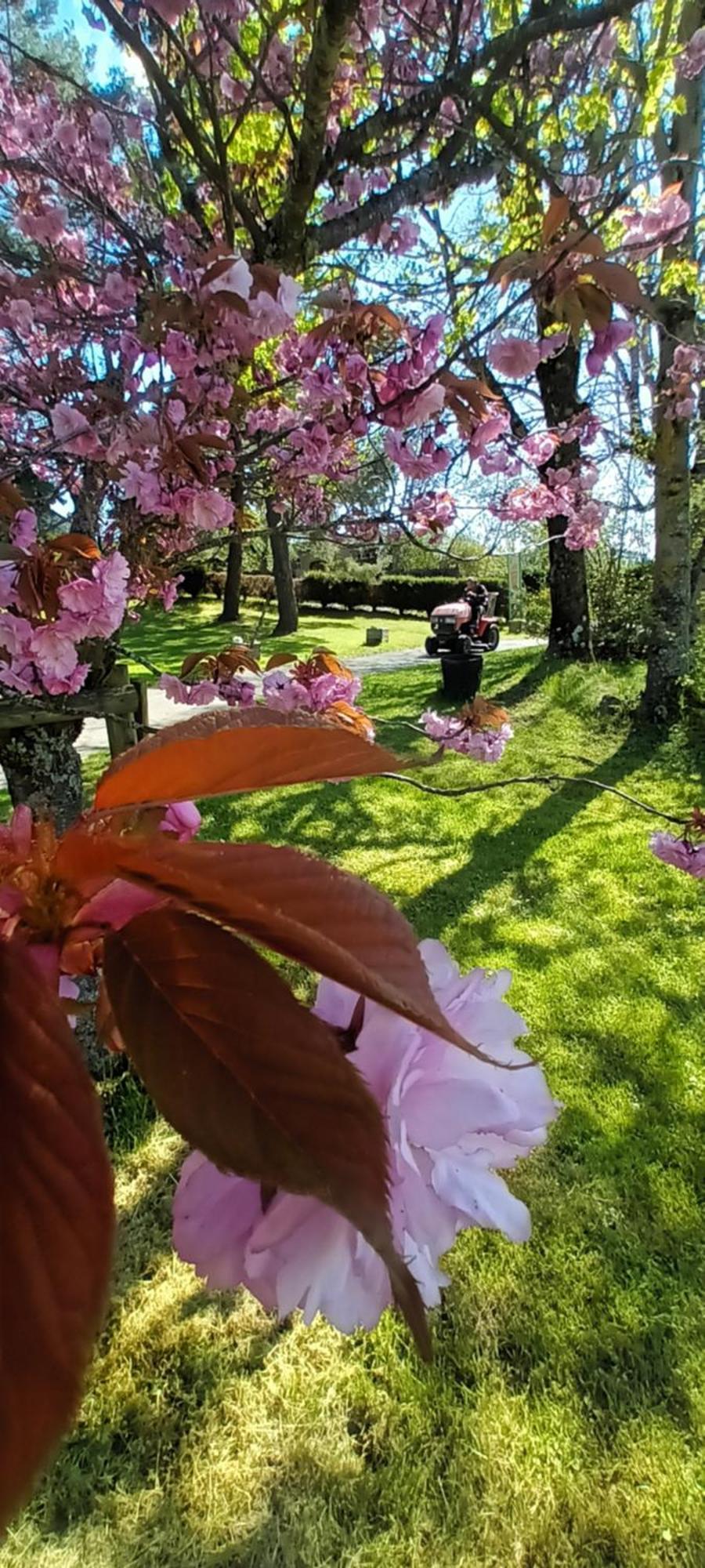 Vvf Haute Loire Saint-Julien-Chapteuil Екстер'єр фото